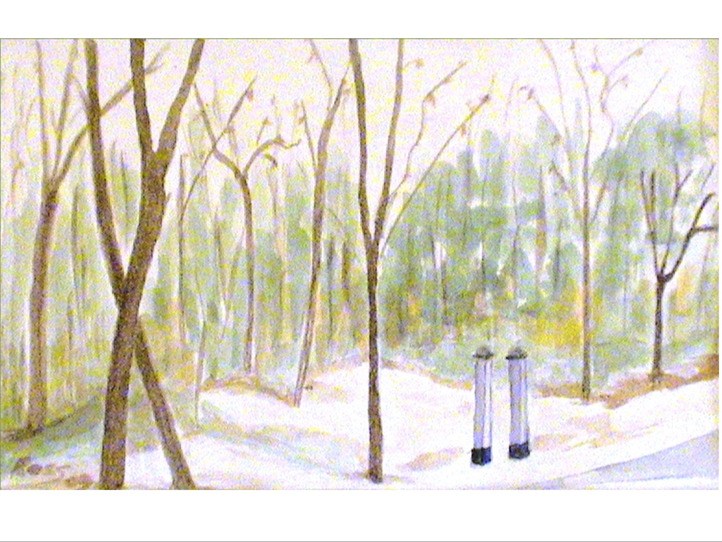 INVERNO AL PARCO