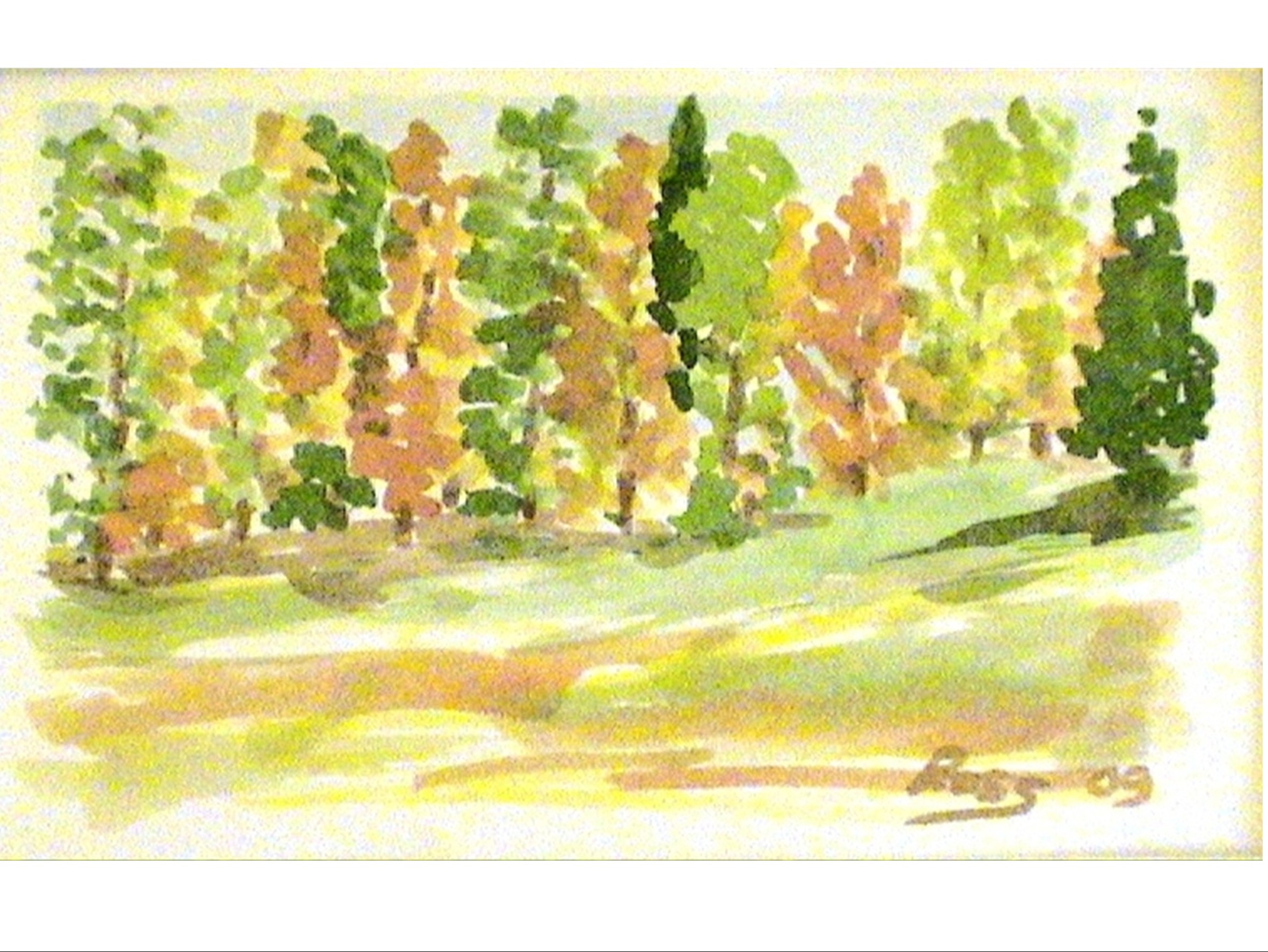 SCORCIO D'AUTUNNO
