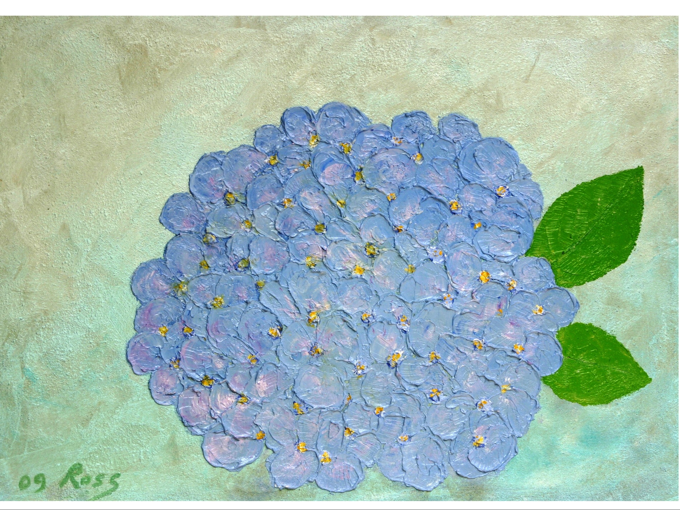 ORTENSIA