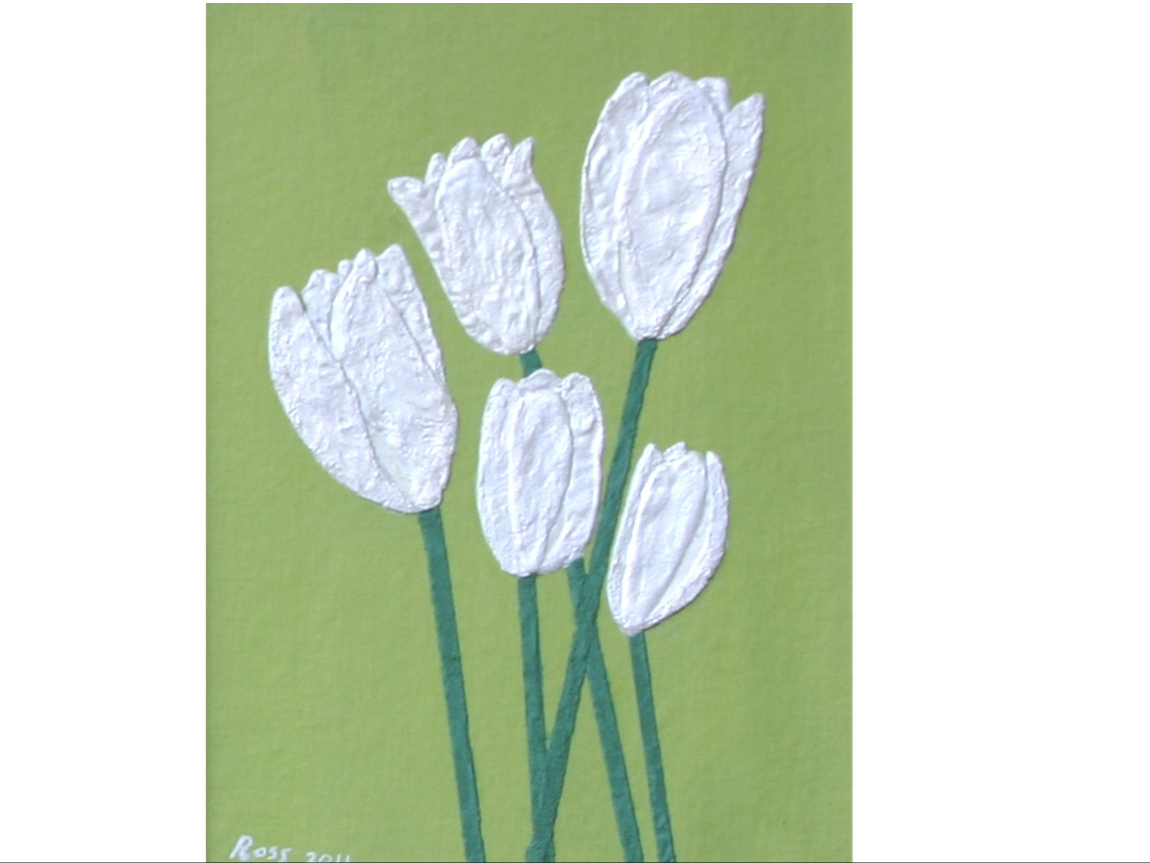 TULIPANI BIANCHI
