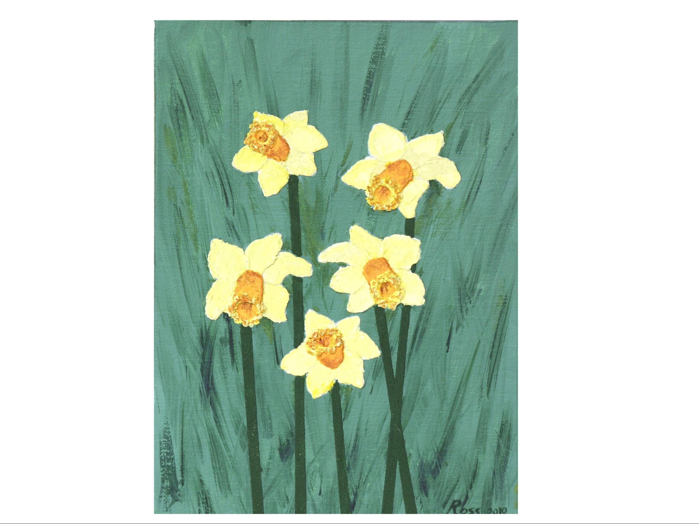 NARCISI