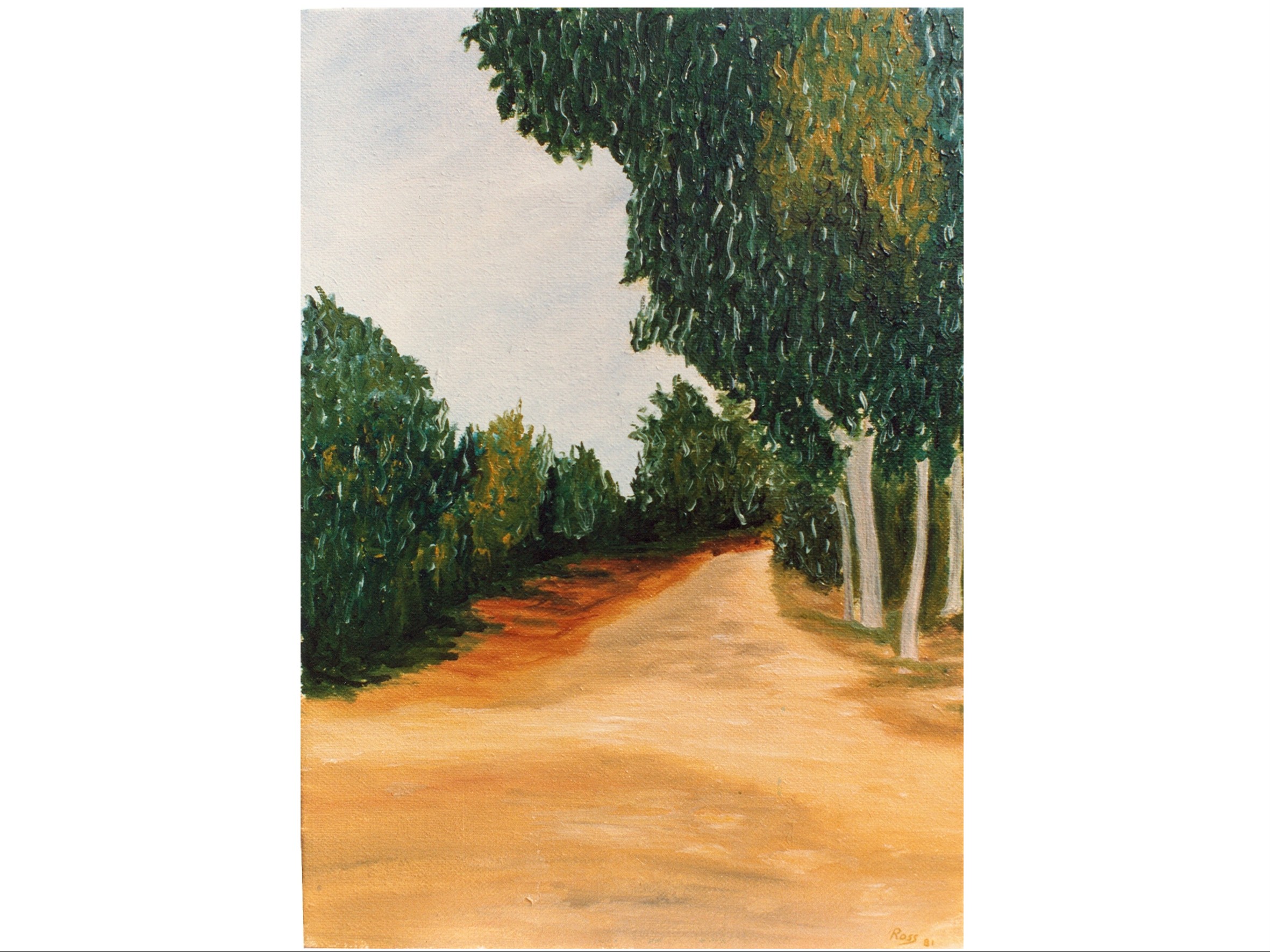 STRADA NEL BOSCO