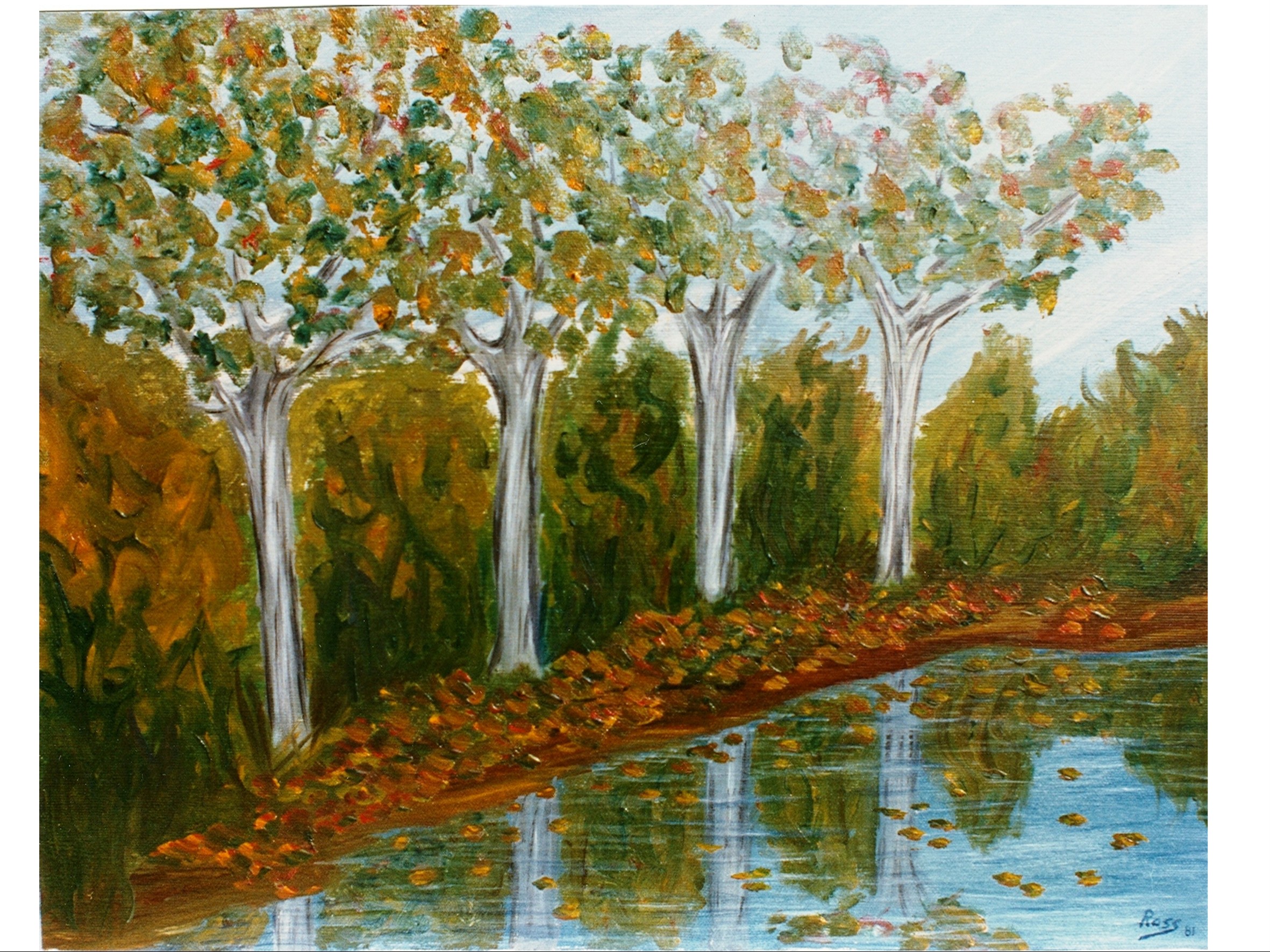AUTUNNO SUL RODANO