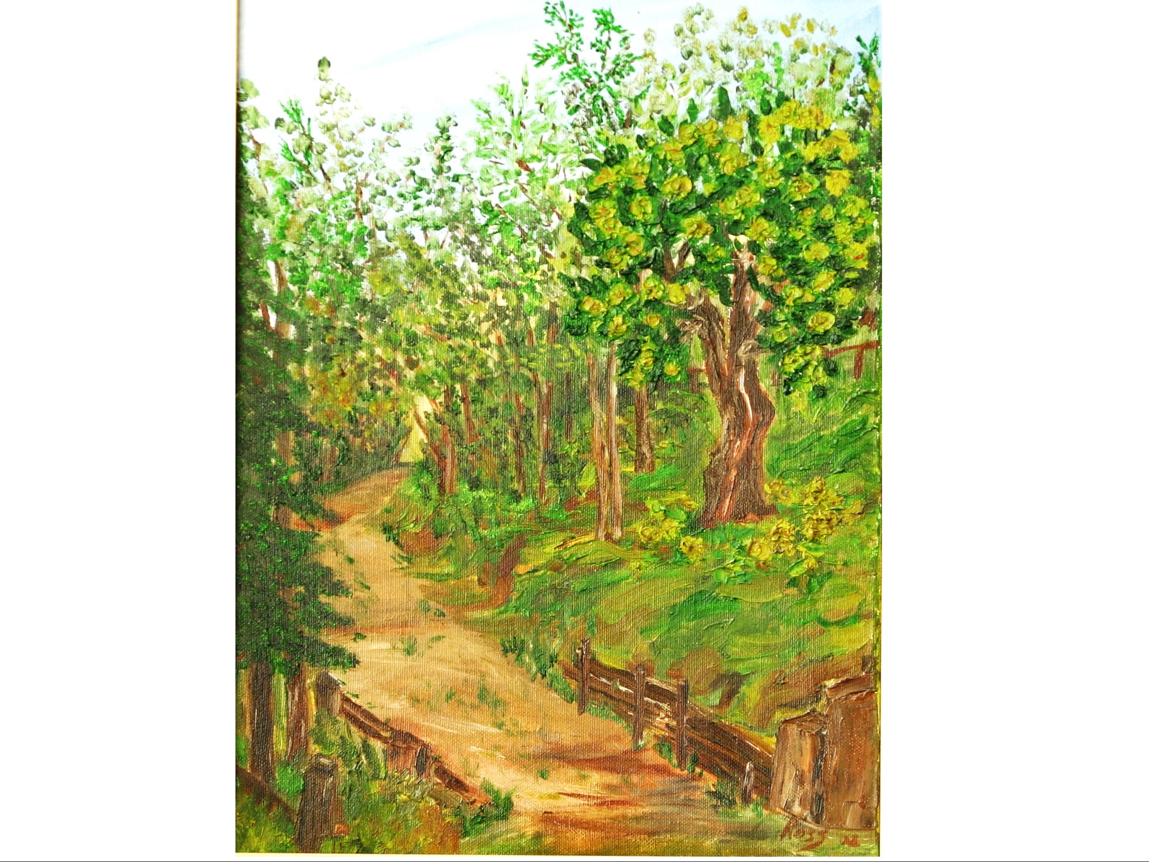 LA MIA STRADA NEL BOSCO